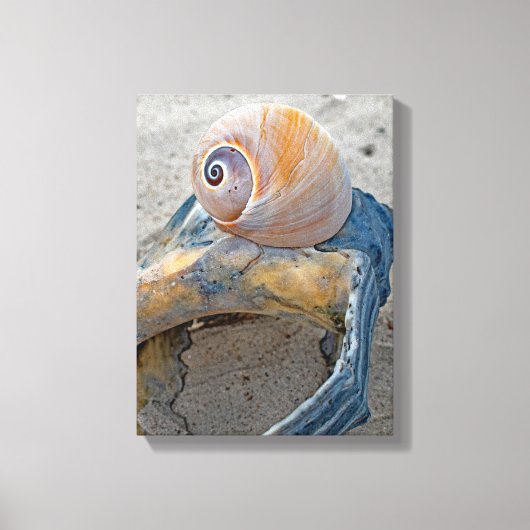 Gebrekkige schoonheden canvas afdruk (Voorkant)