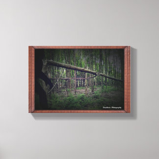 Gebroken boom (Bigfoot) Canvas Afdruk
