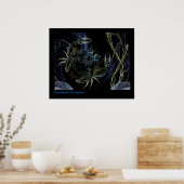 Gebroken schaaldieren poster (Keuken)