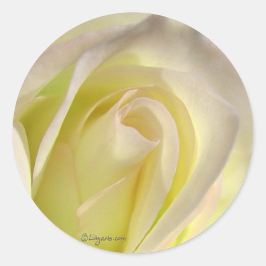 Gebroken wit Rozen Sticker envelop sluiting (Voorkant)