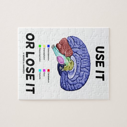 Gebruik het of verlies het (advies over anatomisch legpuzzel (Horizontaal)
