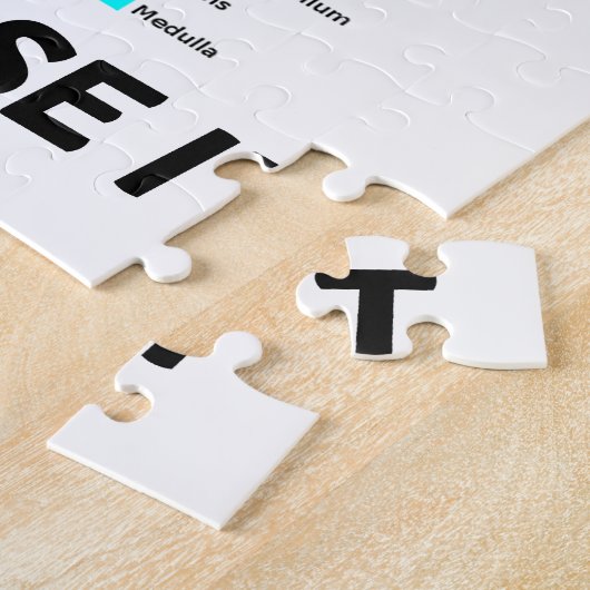 Gebruik het of verlies het (advies over anatomisch legpuzzel (Zijkant)