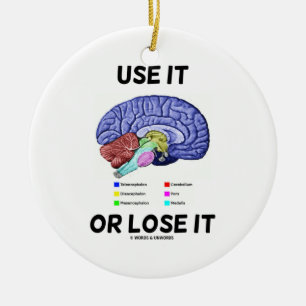 Gebruik het of verlies het (hersenanatomie Humor) Keramisch Ornament