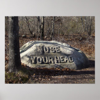 Gebruik je hoofd Babson Boulder Poster