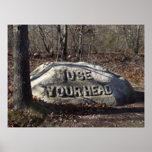 Gebruik je hoofd Babson Boulder Poster (Voorkant)