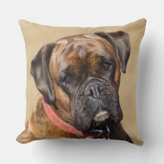 Gebruinde Boxer Hond Kussen (Voorkant)