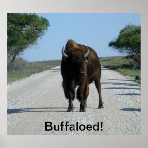 Gebuffet! Poster