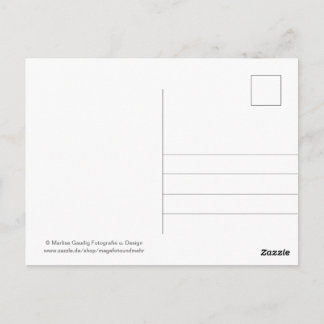 Geburtstags Schneckenpost Briefkaart