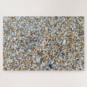 Gecamoufleerde spookkrab op een Kauai-strand, Hawa Legpuzzel