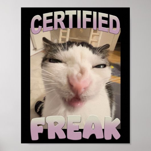Gecertificeerde Freak Cat Meme Funny Pet Humor Poster (Voorkant)