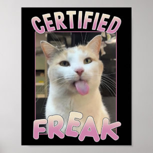 Gecertificeerde Freak Schattigee Cat Meme Lovers F Poster