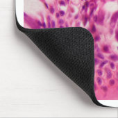 Gecilieerd epitheel onder de microscoop. muismat (Hoek)