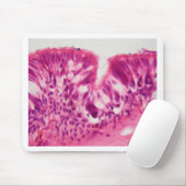 Gecilieerd epitheel onder de microscoop. muismat (Met muis)