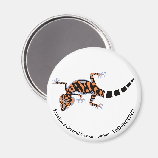 Gecko - aimant (Recto/Verso)