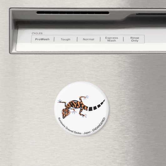 Gecko - aimant (In Situ (Lave-vaisselle))