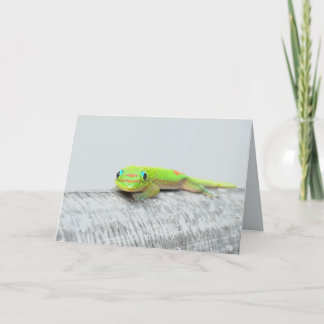Gecko-allround wenskaart kaart
