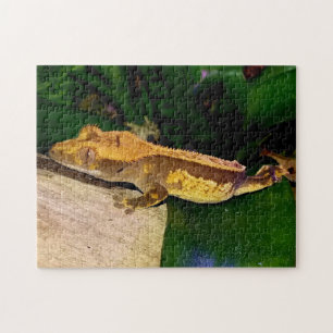 Gecko arrêté sur un puzzle de feuilles