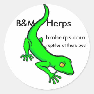 gecko, B& MHerps, bmherps.com, reptielen op t.. Ronde Sticker