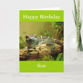 Gecko Birthday Kaart