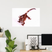 Gecko die onder een hoek loopt poster (Thuiskantoor)