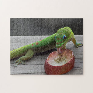 Gecko Eating Grapes Legpuzzel