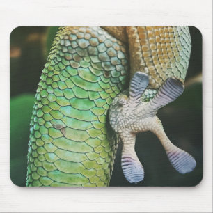 Gecko Feet Muismat