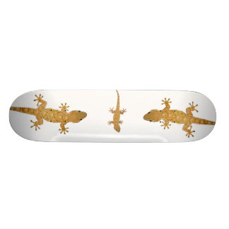 Gecko hagedis reptiel skateboard