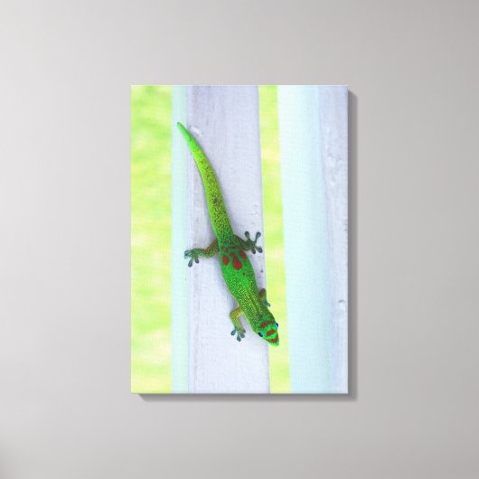 Gecko in Hawaï - Verticaal Canvas (Voorkant)