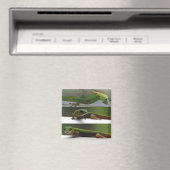 Gecko Magneet (Insitu (Vaatwasser))
