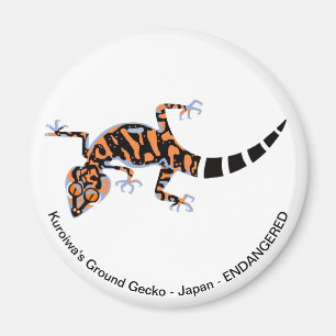 Gecko - magnet magneet