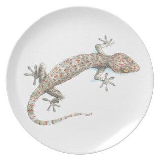 gecko melamine bord