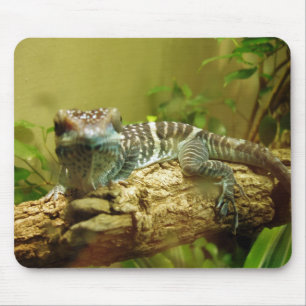 Gecko Mousepad Muismat