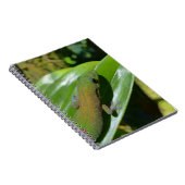 Gecko Notitieboek (Rechterzijde)