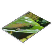 Gecko Notitieboek (Linkerzijde)
