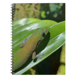 Gecko Notitieboek