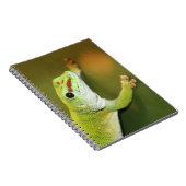 Gecko Notitieboek (Rechterzijde)