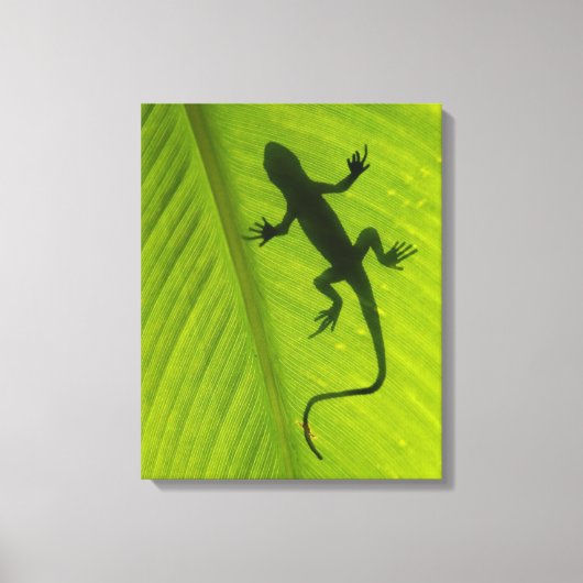 Gecko Silhouette Canvas Afdruk (Voorkant)