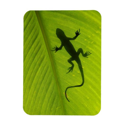 Gecko Silhouette Magneet (Verticaal)