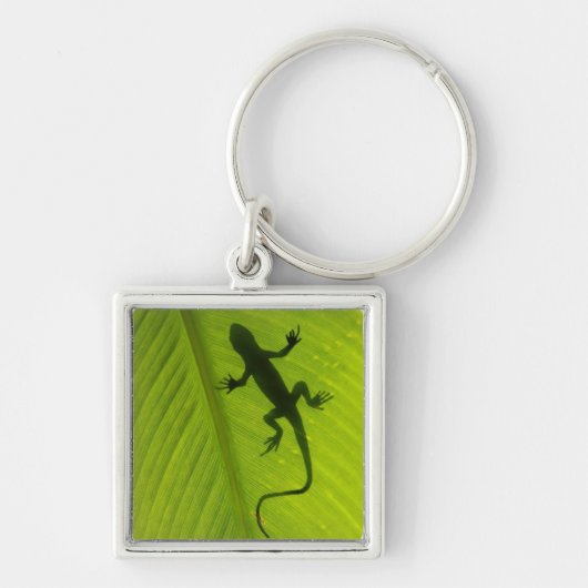 Gecko Silhouette Sleutelhanger (Voorkant)