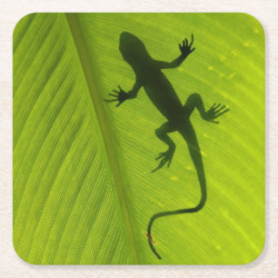 Gecko Silhouette Vierkante Kartonnen Onderzetter