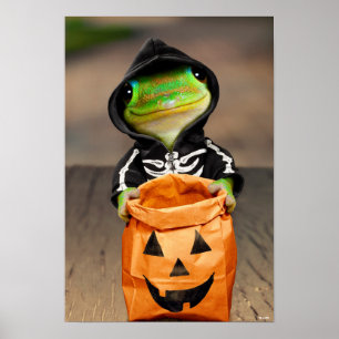 Gecko Skeleton Poster