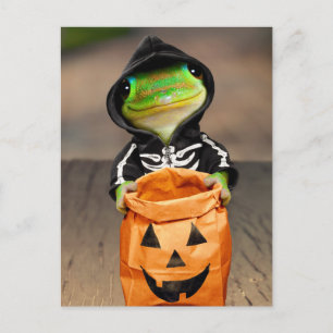 Gecko Skeleton Uitnodiging Briefkaart