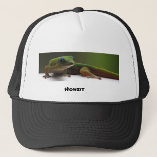 Gecko Trucker Pet