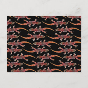Geckos Briefkaart