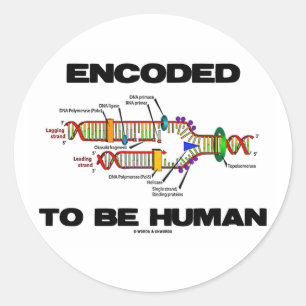 gecodeerd om menselijk te zijn (DNA-replicatie) Ronde Sticker