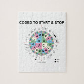 Gecodeerd om te beginnen en te stoppen (Codon wiel Legpuzzel (Verticaal)