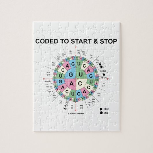 Gecodeerd om te beginnen en te stoppen (Codon wiel Legpuzzel (Verticaal)
