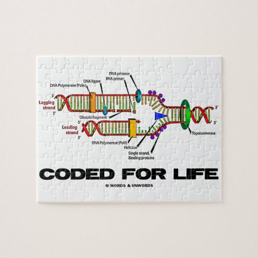 Gecodeerd voor DNA-replicatie in het leven Molecul Legpuzzel (Horizontaal)