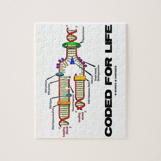 Gecodeerd voor DNA-replicatie in het leven Molecul Legpuzzel (Verticaal)