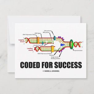 Gecodeerd voor succes (DNA-replicatie)